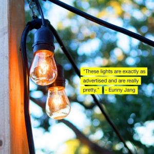 Brightech Ambience Pro Outdoor Incandescent String Lights