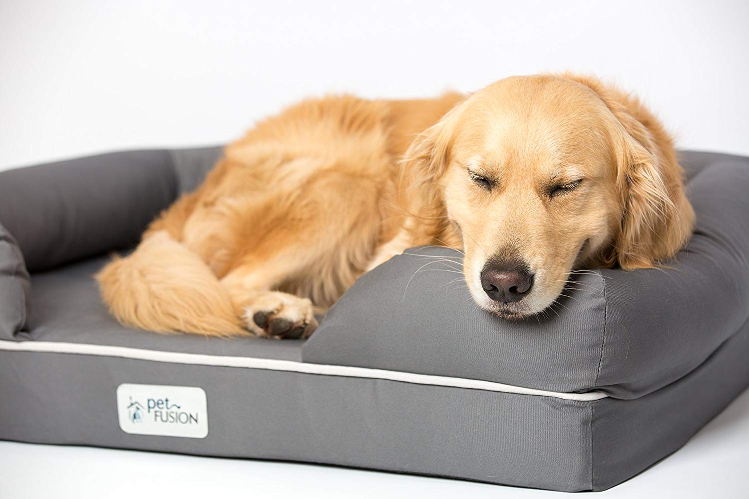Top 10 Best Large Dog Beds in 2024 – Complete Reviews