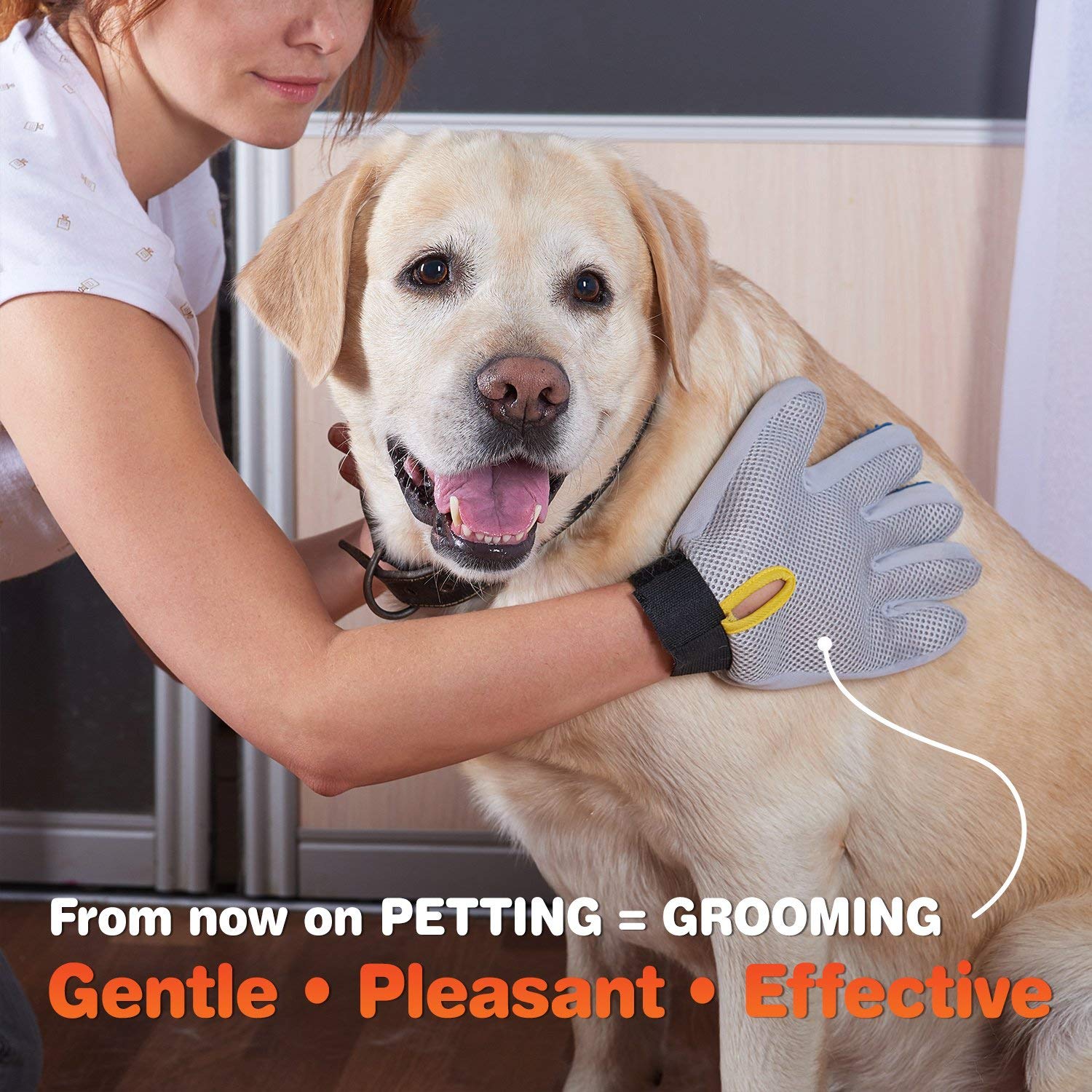 The Best Pet Grooming Gloves in 2024 | Buying Guide