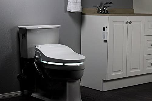The Best Electric Toilet Seat For Round Toilet With Remote Control In 2024